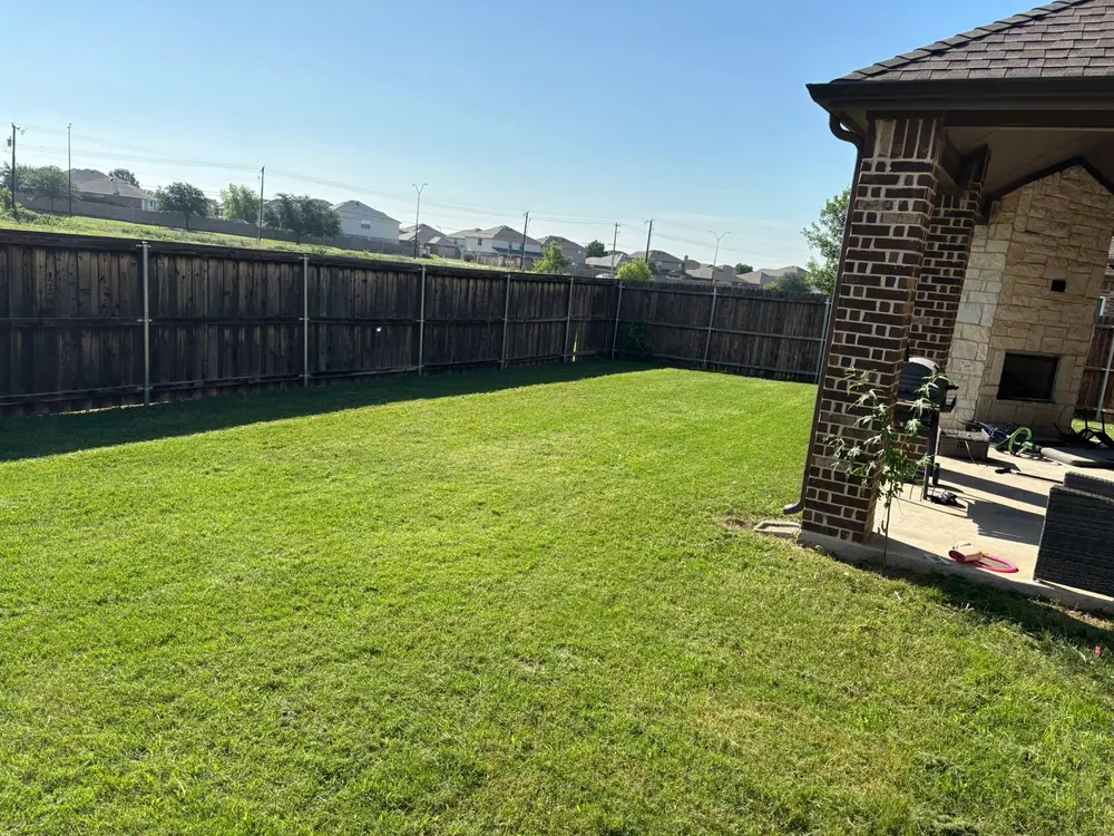 Green back yard lawn mowed and tidied in Saginaw, TX
